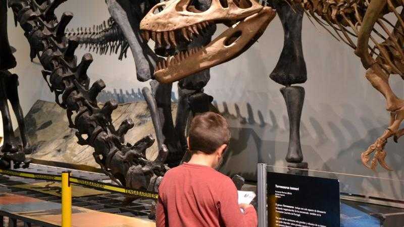 8. VISITA GUIADA POR LAS PIEZAS MÁS IMPORTANTES DEL MUSEO 