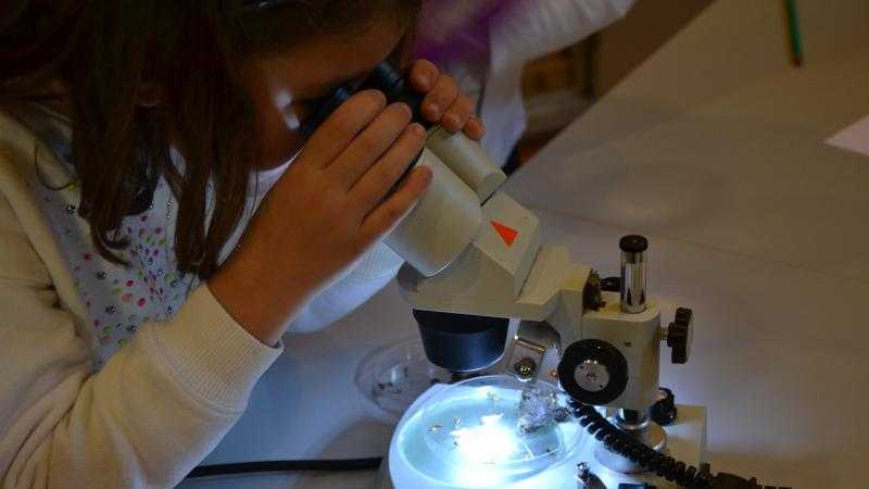 5. EXPERIMENTÁREA BIOLÓGICA