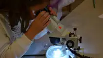 4. EXPERIMENTÁREA BIOLÓGICA