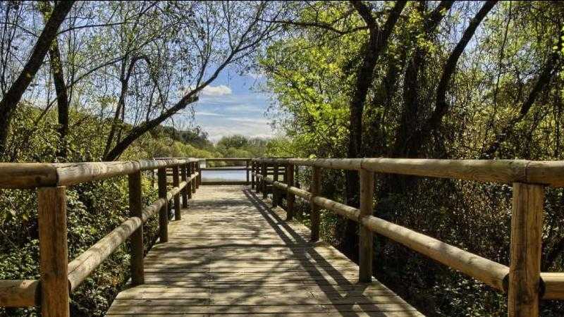 Excursión a Doñana desde Sevilla