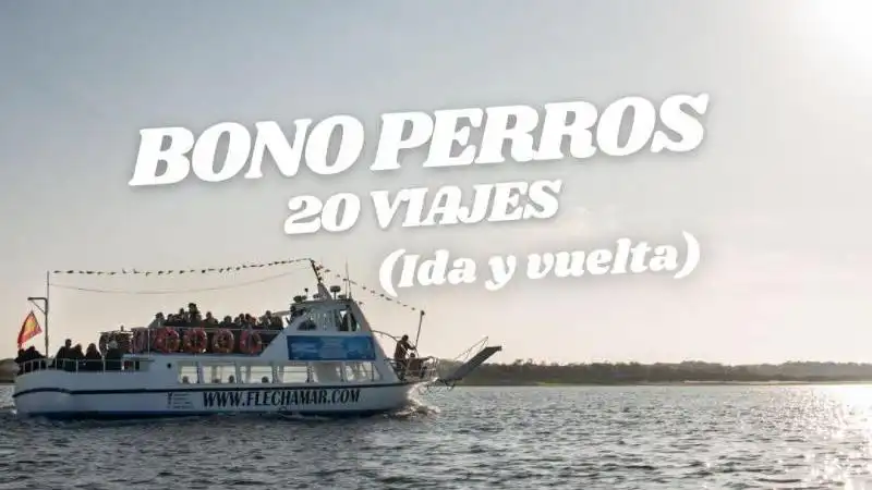 BONO PERROS 20 VIAJES (Ida y vuelta)