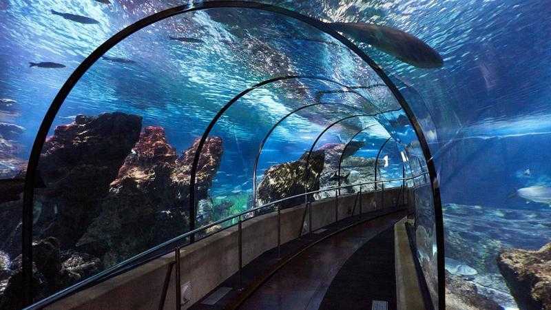 BARCELONA AQUARIUM & CENTER Schedule from 07:45h - 18:30h (depending on stop) 