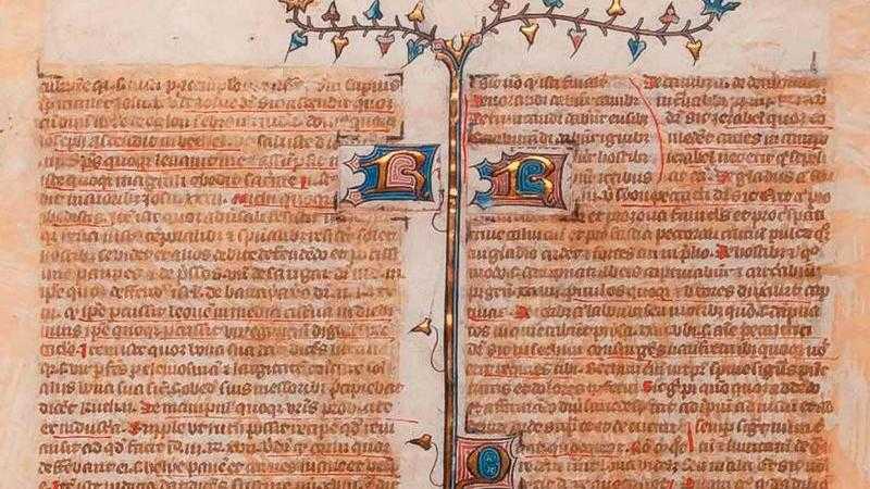 Vitrina CERO. Relatos de la ausencia: recorte de manuscritos medievales en el siglo XIX