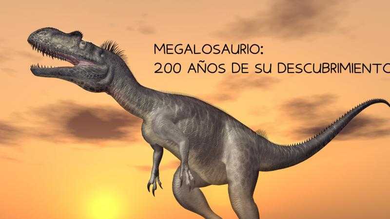 MEGALOSAURIO: 200 AÑOS DE SU DESCUBRIMIENTO