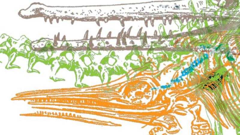 Curso de formación Patrimonio geológico del Jurásico de Asturias