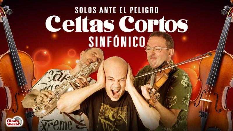 CELTAS CORTOS