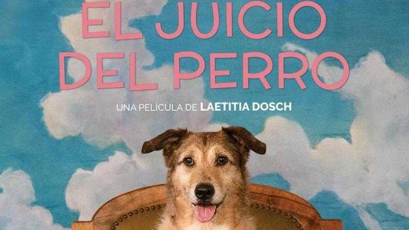 EL JUICIO DEL PERRO