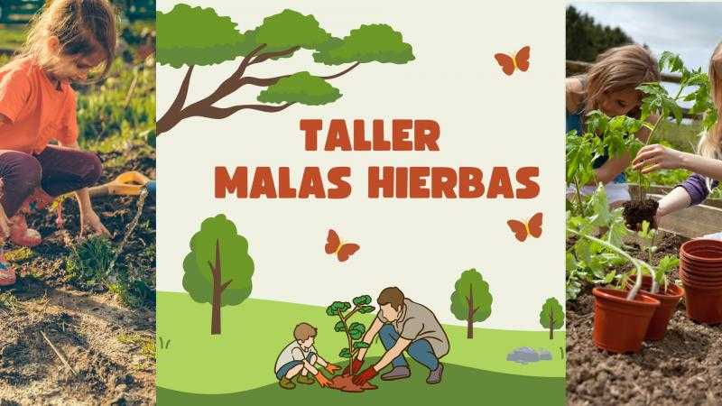 TALLER EL HUERTO FLORIDO