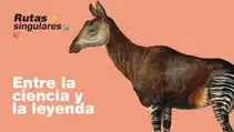 2. RUTAS SINGULARES: ENTRE LA CIENCIA Y LA LEYENDA