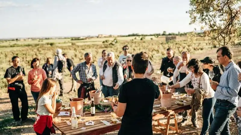 Spaziergang und Weinprobe in Ihrem eigenen Tempo
