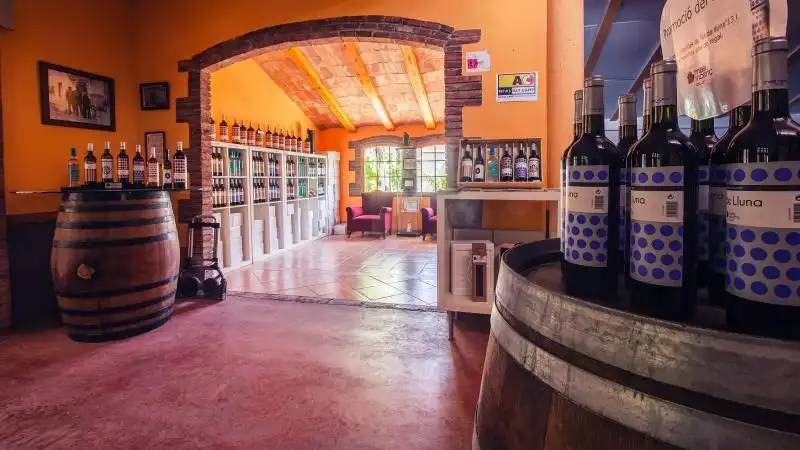 Visite guidée avec dégustation de vins