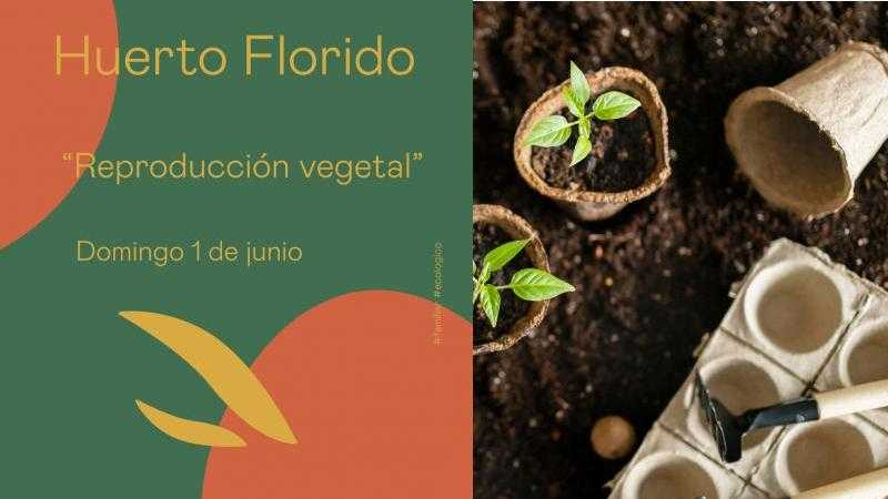 Taller el Huerto Florido