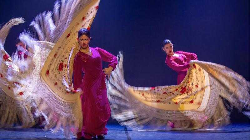 GALA DE DANZA ESCUELA PROFESIONAL DE DANZA CYL