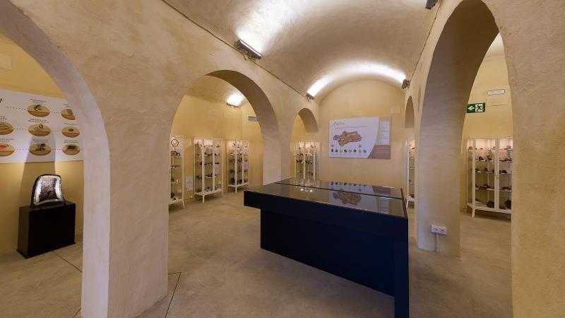 Museo Geológico de Aracena + Visitas Guiadas