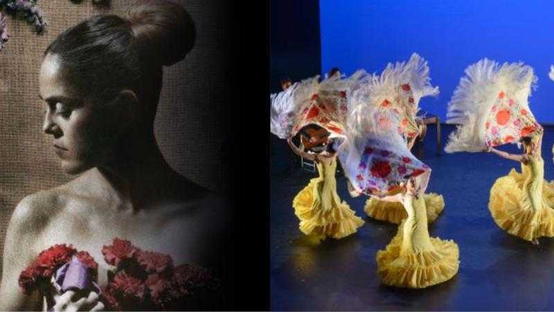  ABONO BALLET FLAMENCO DE ANDALUCIA