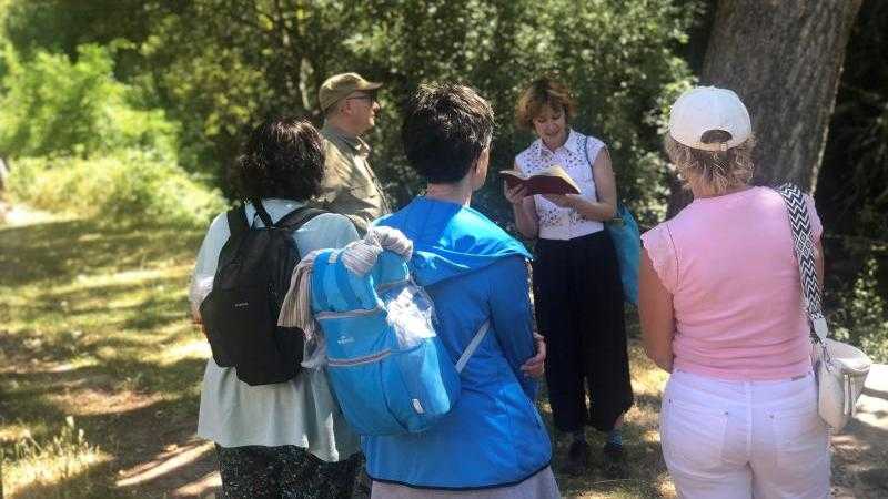 Rutas por el bosque de Ana María Matute