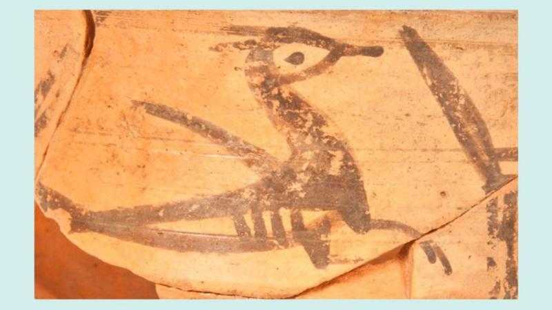 Visitas taller: Descubriendo las aves de la Celtiberia