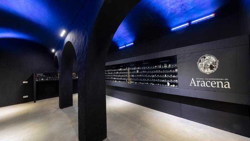 VISITA GUIADA MUSEO GEOLÓGICO
