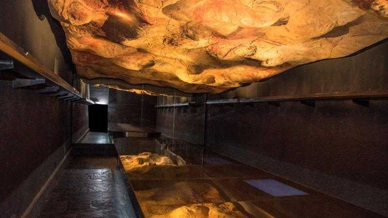 Taller. Osteoteca. Lo que nos cuentan los restos de fauna