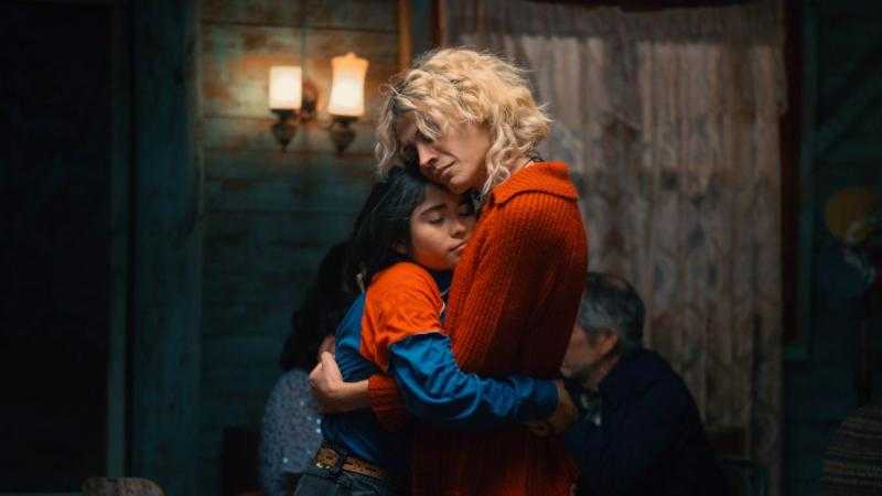 La misteriosa mirada del flamenco