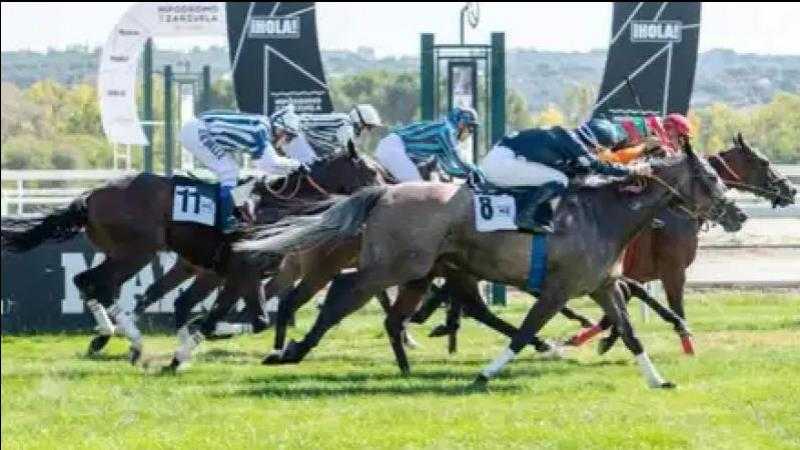 JORNADAS FAMILY DAYS