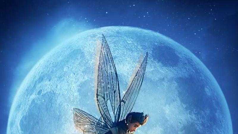 Los guardianes del diente mágico