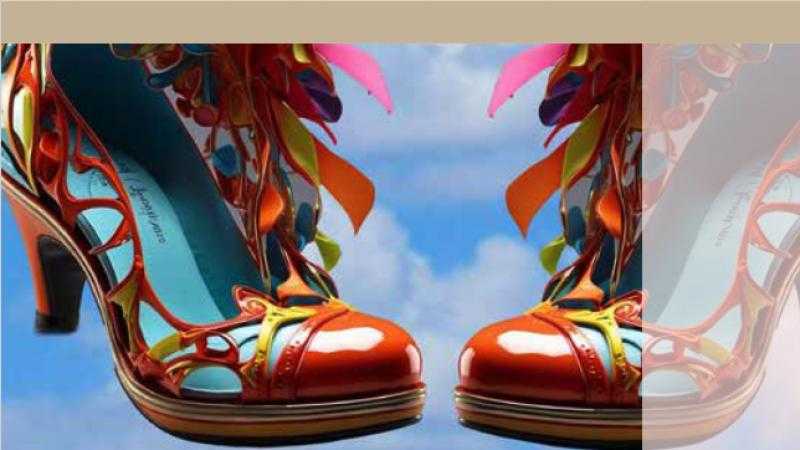 LA PRODIGIOSA ZAPATERA