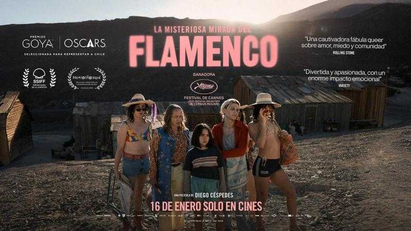 La misteriosa mirada del flamenco