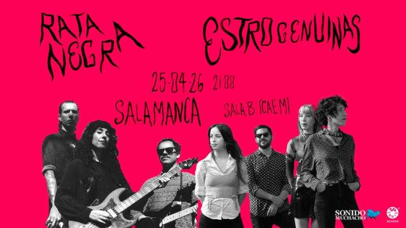 RATA NEGRA Y  ESTROGENUINAS