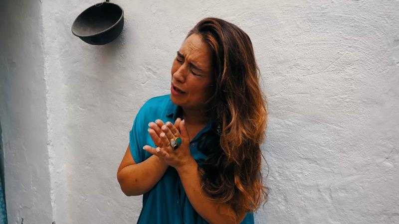 ENCARNA ANILLO (s.luis) (bienal 2026) (caché)