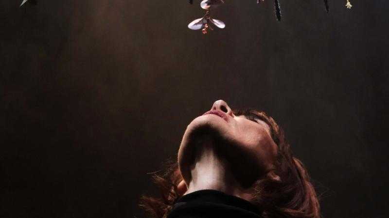 Zambra de la buena salvaje