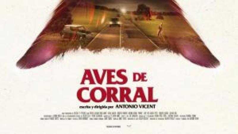 Aves de Corral