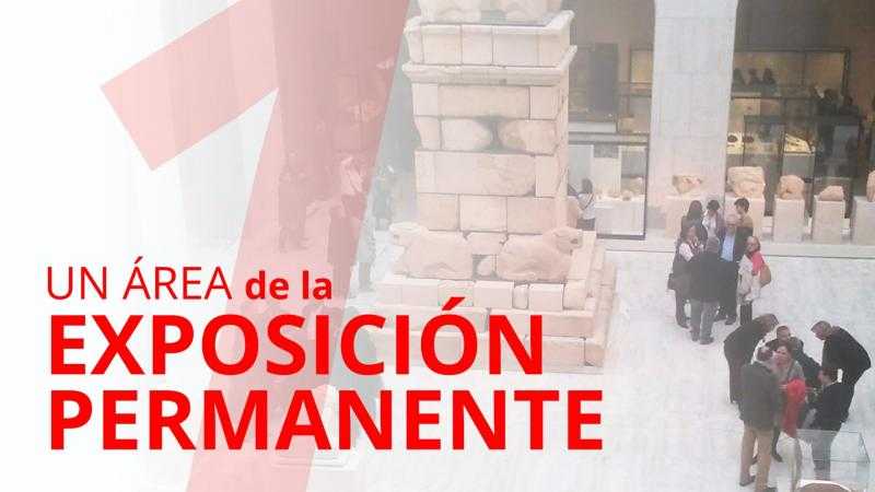 ENTRADA MAN - GRUPOS 1 ÁREA