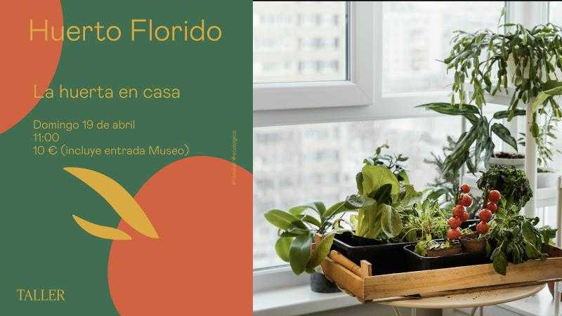 TALLER DE HUERTO: LA HUERTA EN CASA
