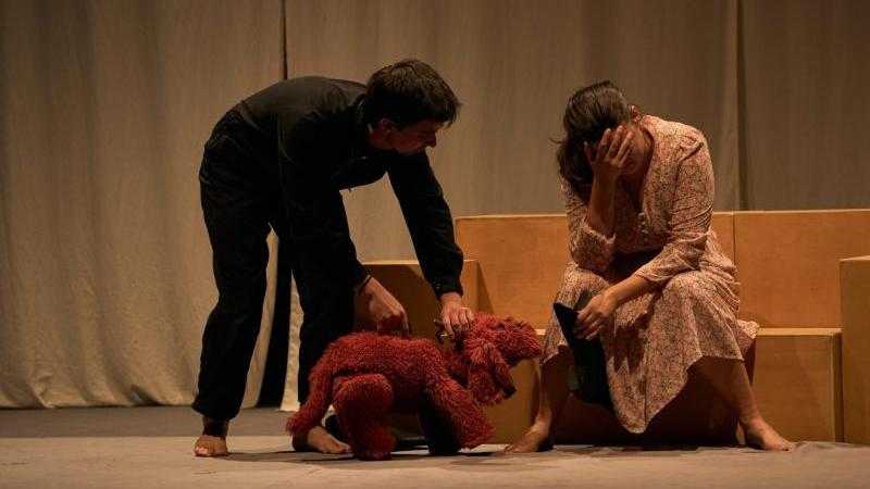 LUCHE, UNA VIDA DE PERRO