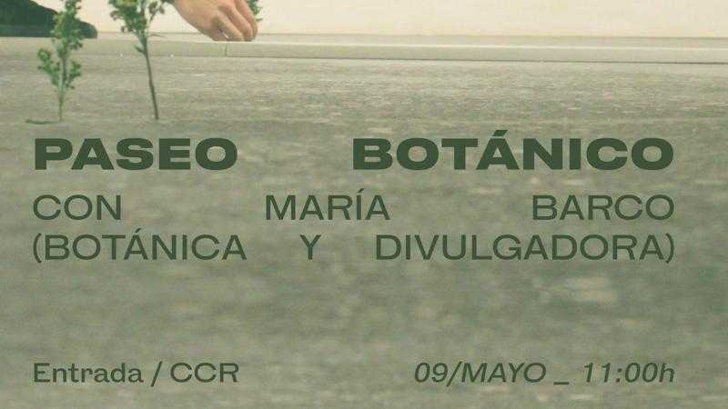 Paseo botánico con María Barco (botánica y divulgadora)