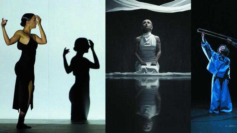 El elogio de la fisura + Vacía + La declamación muda