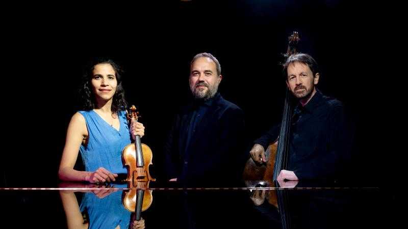 Falla imaginado. Moisés P. Sánchez, Ana María Valderrama y Pablo Martín Caminero