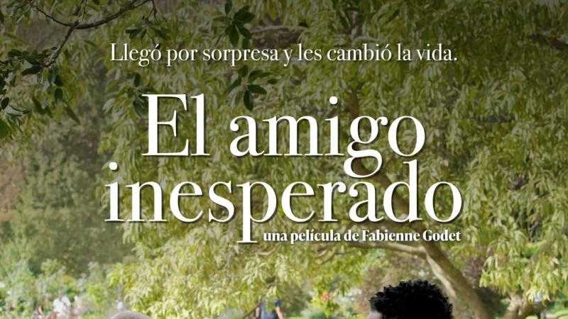 El amigo inesperado