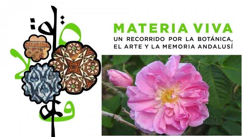 Visitas Guiadas Familiares. Materia viva. Un recorrido por la botánica, el arte y la memoria andalusí
