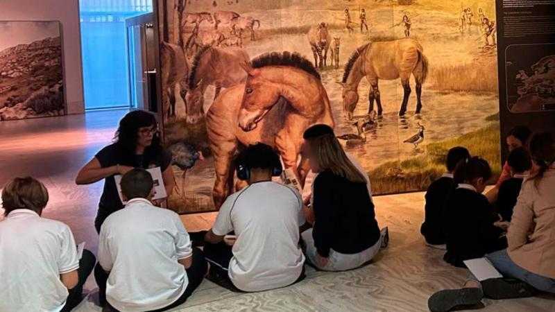 DISCAPACIDAD VISUAL: MUSEO EN TUS MANOS 