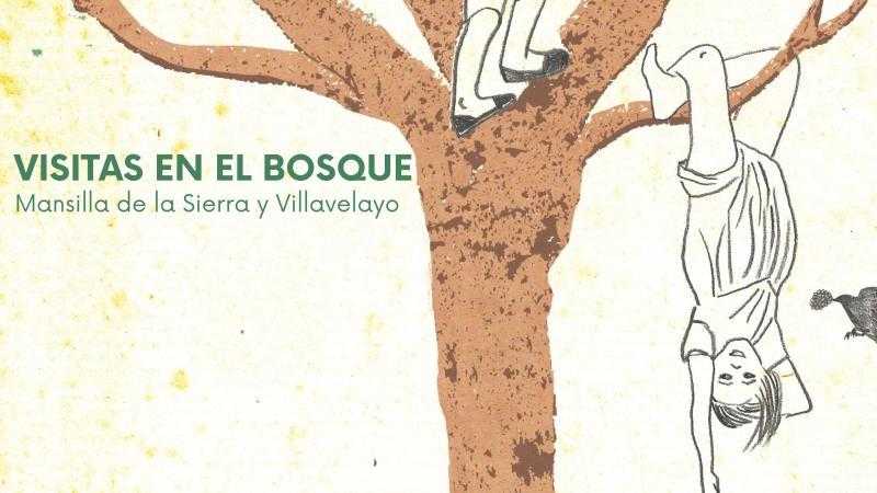RUTA POR EL BOSQUE DE ANA MARIA MATUTE