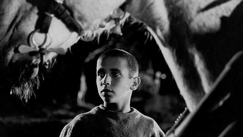 Crónica de un niño solo (1965)
