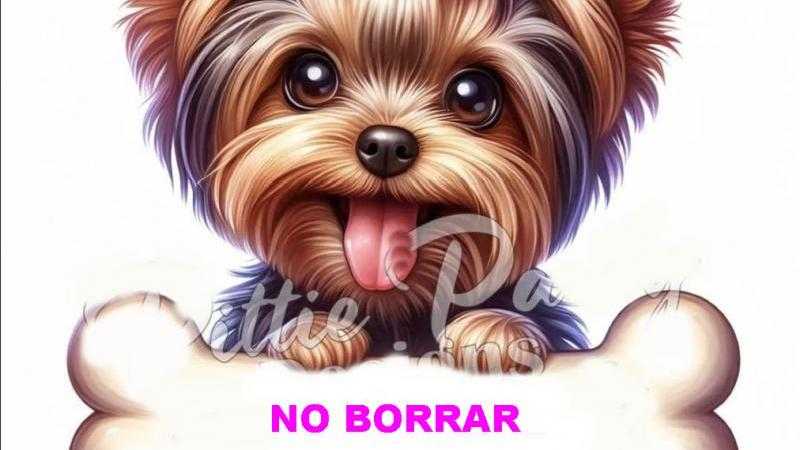 NO BORRAR