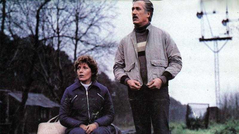Tiempo de revancha (1981)