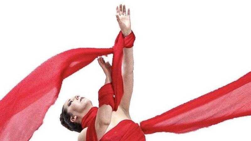 La elegancia del Duende Flamenco