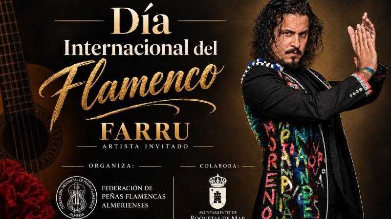 DÍA INTERNACIONAL DEL FLAMENCO