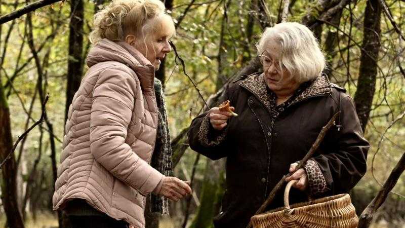 Cuando cae el otoño (Quand vient l'automne,2024)