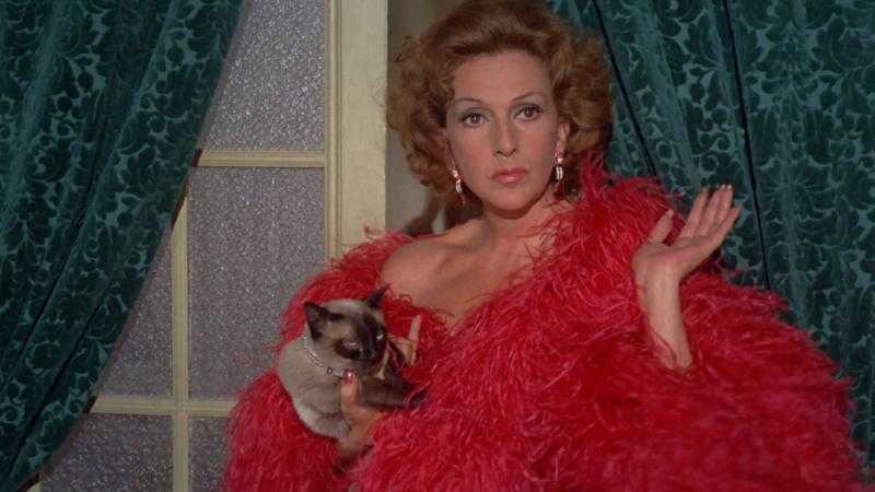 La madrastra (1974)