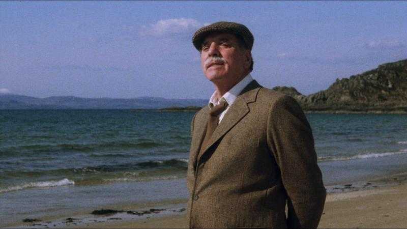 Un tipo genial (Local Hero,1983)